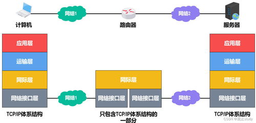 计算机网络体系结构