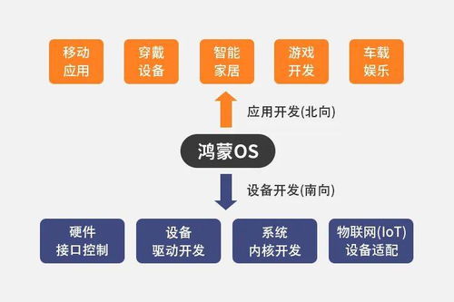 零基础学鸿蒙系统设备开发,从入门到12大物联网项目实战