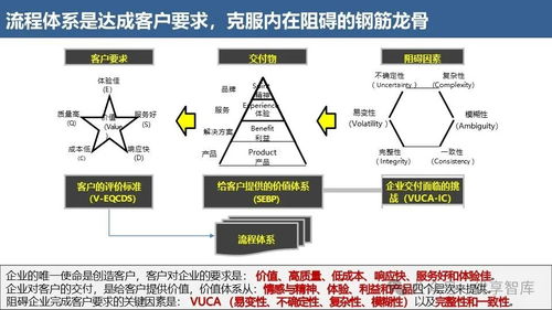 华为流程体系建设与运营解读 流程体系 指标体系 卓越运营 业务转型与数字化 组织保障与流程管理 流程成熟度评估模型